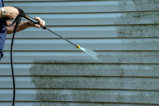 Best Roof Pressure Washing  in San Leandro, CA