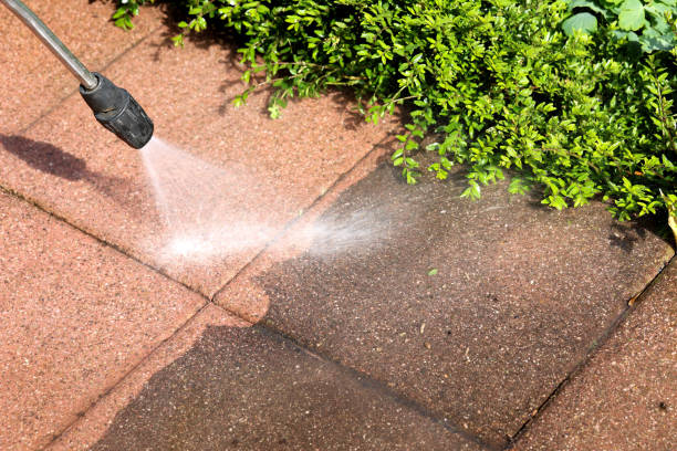 Best Roof Power Washing Services  in San Leandro, CA